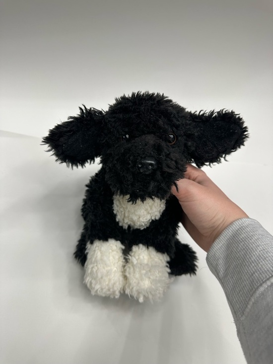 webkinz Other - Webkinz Signature Portuguese Waterdog